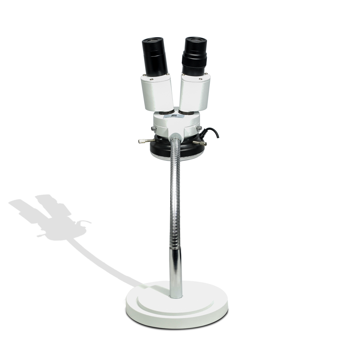 Stereo Microscope